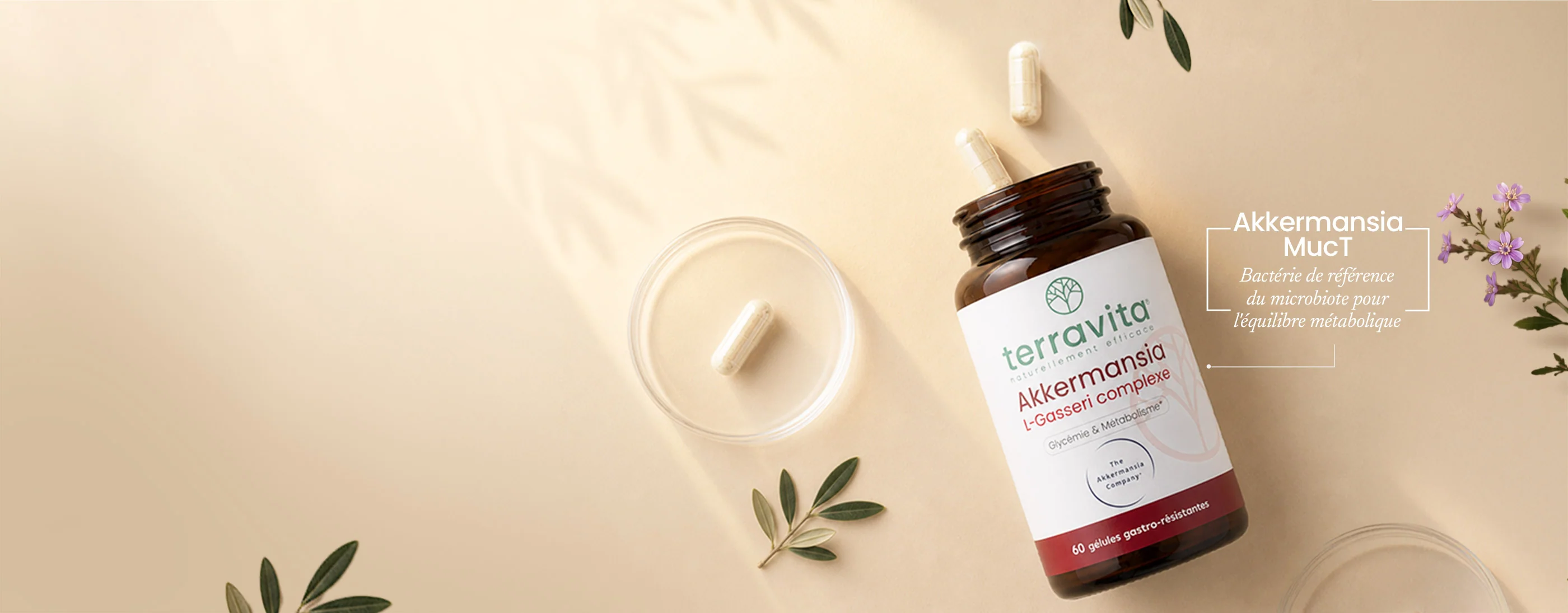 Terravita : L'excellence nutritionnelle naturelle